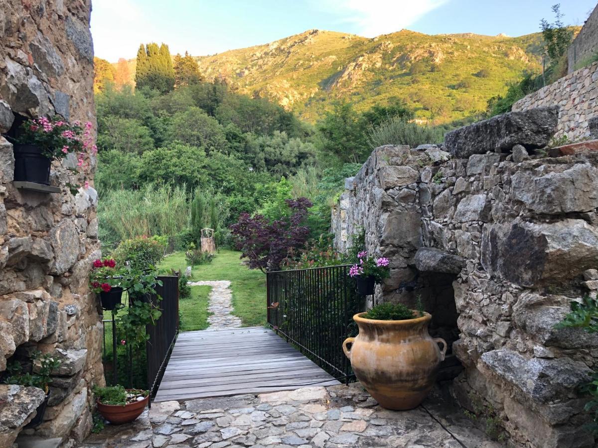 Chambres D'Hotes - Mulino Nannare Ville-di-Paraso Kültér fotó