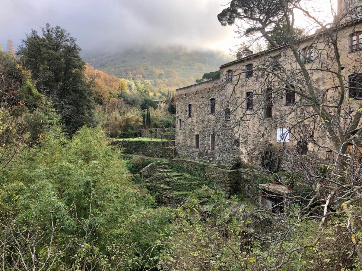 Chambres D'Hotes - Mulino Nannare Ville-di-Paraso Kültér fotó