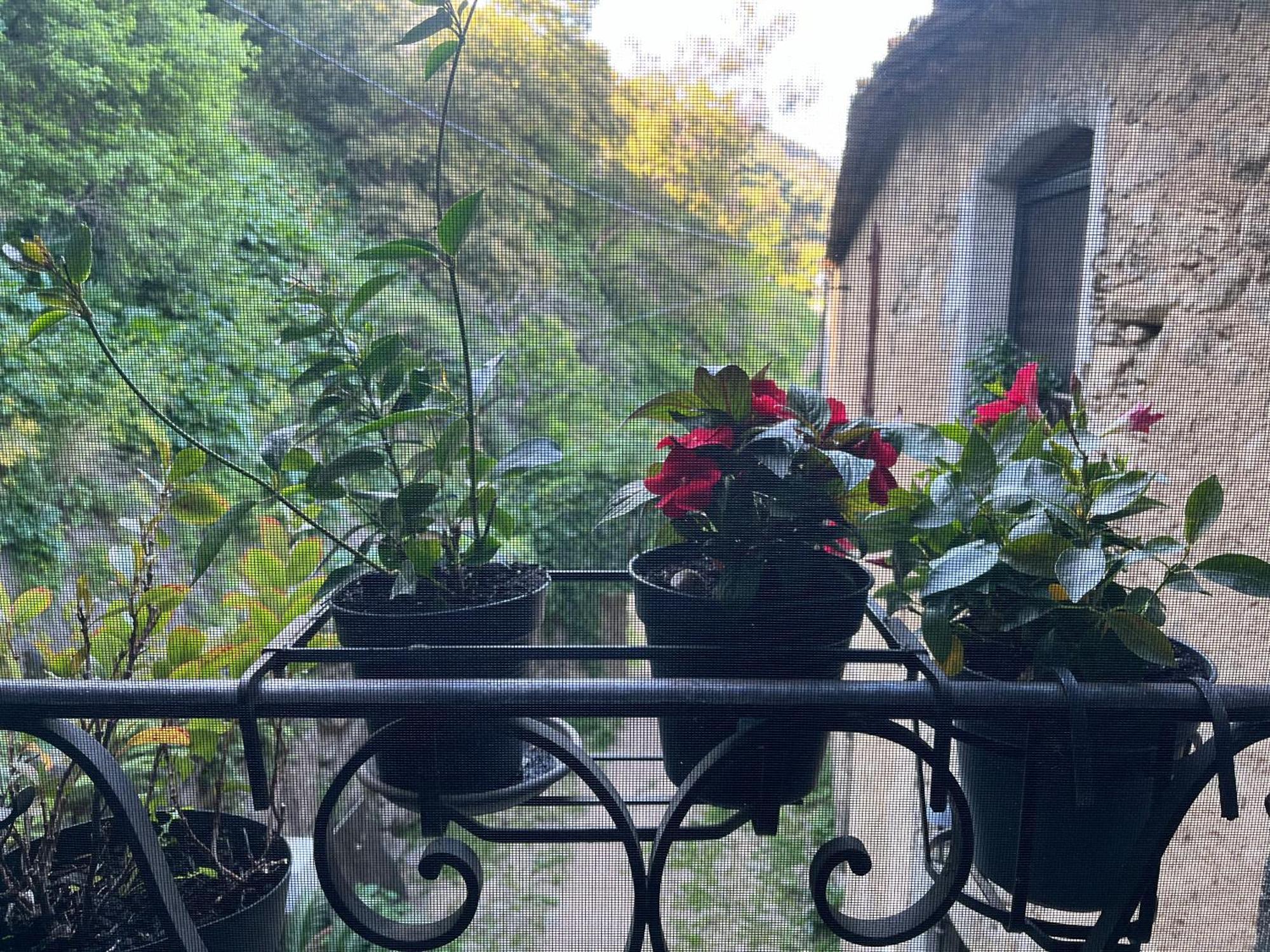 Chambres D'Hotes - Mulino Nannare Ville-di-Paraso Kültér fotó
